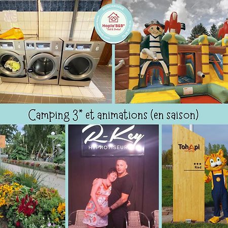 Chez Philippe Et Sylvie - 2 Bungalows Pour 5 Proche Europa-Park Boofzheim 外观 照片