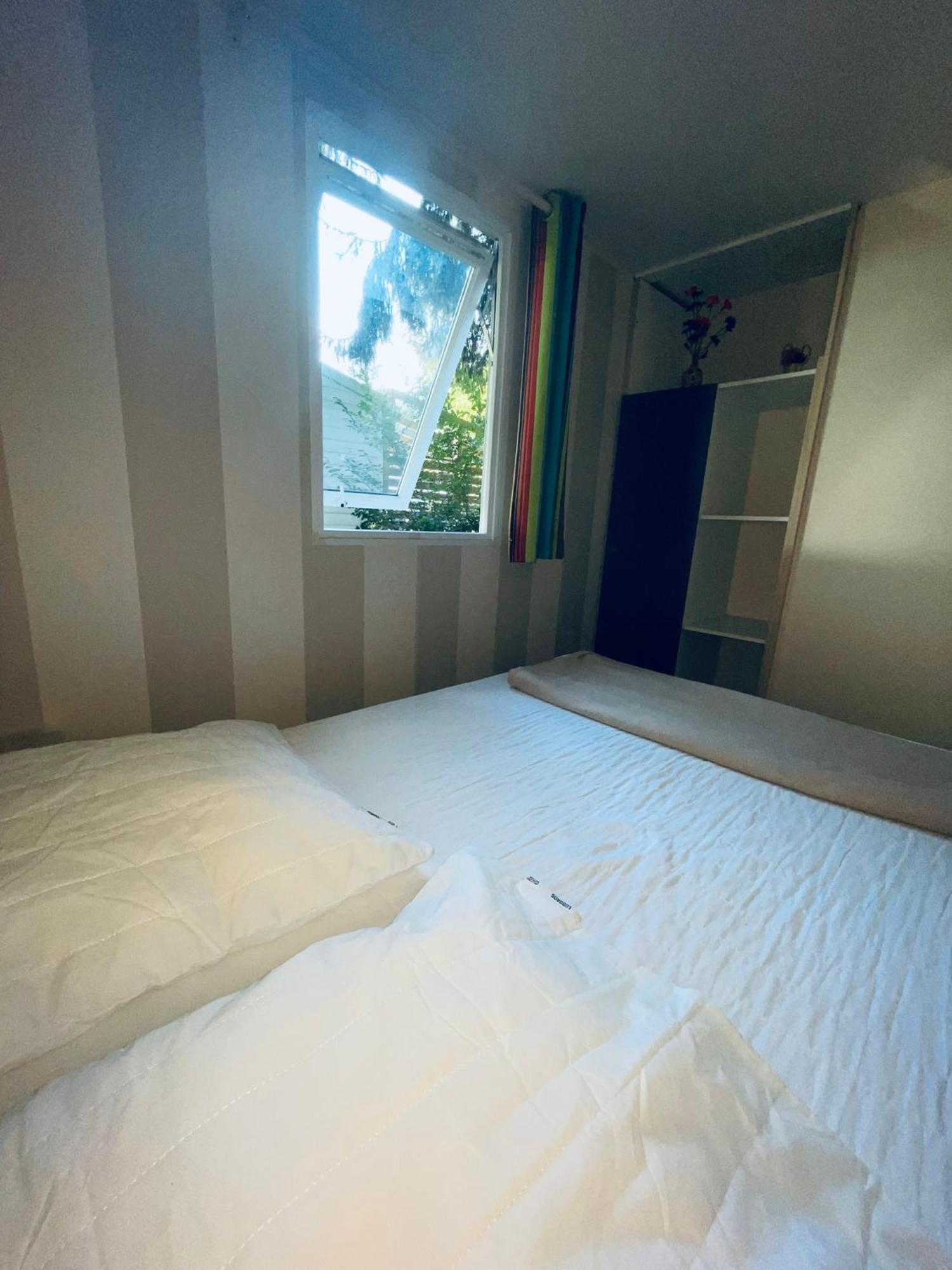 Chez Philippe Et Sylvie - 2 Bungalows Pour 5 Proche Europa-Park Boofzheim 客房 照片